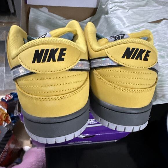 Size 13 - Nike SB Dunk Low Pro \